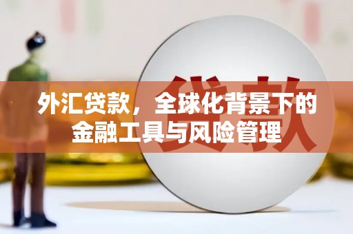 士林外汇贷款，全球化背景下的金融工具与风险管理