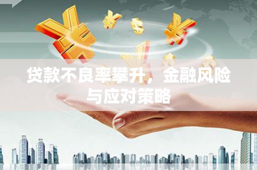 定安贷款不良率攀升，金融风险与应对策略