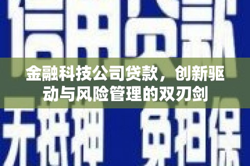湟源金融科技公司贷款，创新驱动与风险管理的双刃剑
